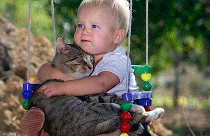 Katze Und Säugling Im Alltag Das Ist Zu Beachten Couchcatsde