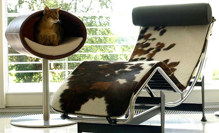 Rondo-Stand-Leder-Katzen