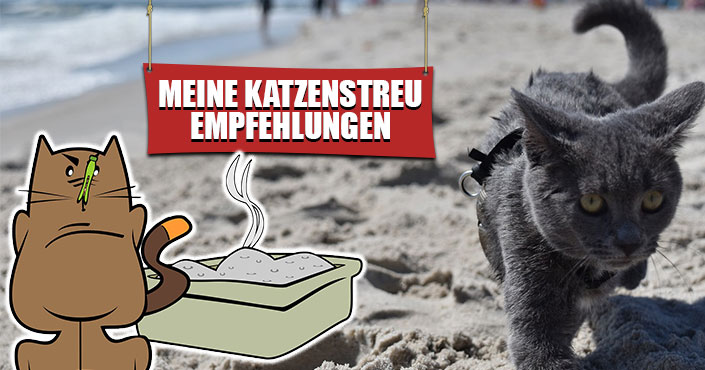 beste katzenstreu